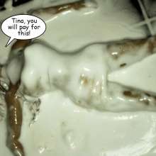 Bobographer: Tina pies the hell out of Emi
