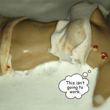 Bobographer: Tina pies the hell out of Emi