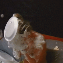 pie_burglar: Video update recap... with gifs