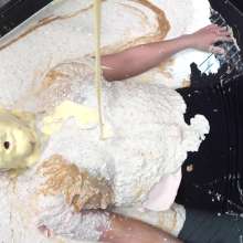 MostWam: Amie Gets The Mess In Her Face