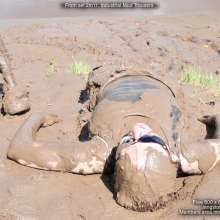 DungeonMasterOne: Langstonedale: Lady A gets muddy in industrial trousers and swimsuit!