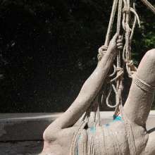 FOXY: Suspended over mud