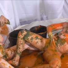 RevSlymsford: Naughty Fairy Corrupts Good Fairy... Messy Toy Fun!