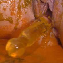 RevSlymsford: Naughty Fairy Corrupts Good Fairy... Messy Toy Fun!