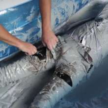 wamgame1: Ben Chinos and Rubber--gunge-rip-play