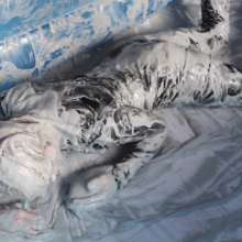 wamgame1: Ben Chinos and Rubber--gunge-rip-play