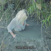 QS4Ever: Cold Stream