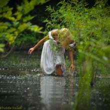 DuncanEdwards: Summer is the Bride of Swamp Thing