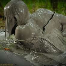 DuncanEdwards: Summer is the Bride of Swamp Thing