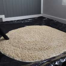 Stella: Oats Your Boat