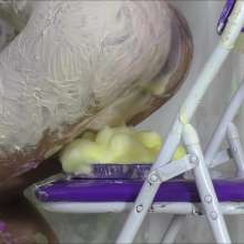 RevSlymsford: The Ultimate Pie Throw Demo Ep3: Getting Naughtier!