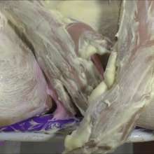 RevSlymsford: The Ultimate Pie Throw Demo Ep3: Getting Naughtier!