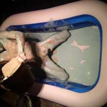 Dawamman: Totally Battered