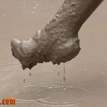 FOXY: mud wrestling