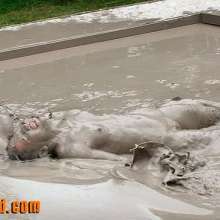FOXY: mud wrestling