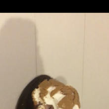 Slimed Models: Happy Pie Day From Slimed Models