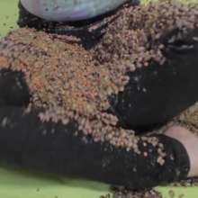 lovingmessy4you: Beans X 3 for Hair and Tied Hands