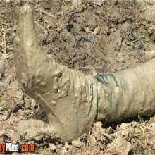 FOXY: Mud hole in forest