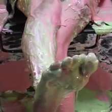 Alumi: 3 Asian girls with their feet in gunk, and faces covered in pies and slime