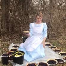 Kaydens: Little Wammer on the Prairie