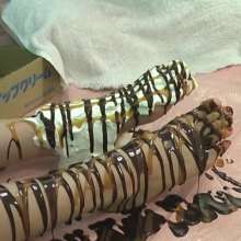 Alumi: Who says slathering cute girls in cream and chocolate isn't art?
