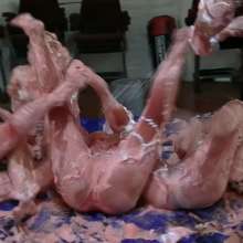 123gunge: Piefight Club