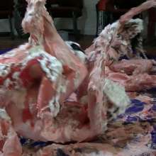 123gunge: Piefight Club