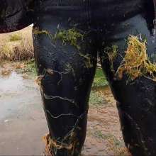 WetandMuddy: Video 70--In the Long Grass