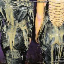 DungeonMasterOne: Saturation Hall: Sub Fidelity Messes Her Mistress!