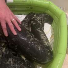 wetmart2240: Bucket of Gunge