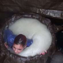 LiquidX: 