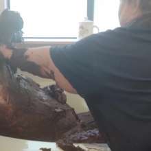 bigredk9: A Little Chocolate Frosting