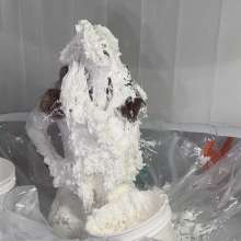 miss_ariel: Ariel In: Situation Normal, All Fluffed Up!  (Part 1)