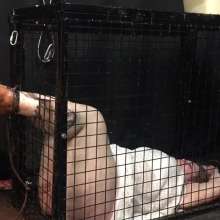 GungeSlut96: Caged, Tied, Tickled, and Gunged Feet