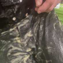 wetmart2240: Bucket of Gunge