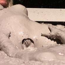 FOXY: Lesbians in mud. Video