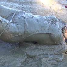 Jayce: Hogtied, Ball Gagged, Face Planting-Sinking in the Mud!