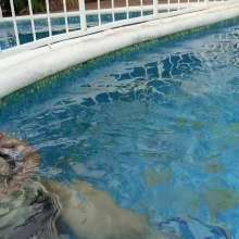 WetPlace: Jazmiss Spending Lovely At Pool