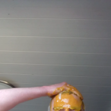 sewersyd: Plum puree