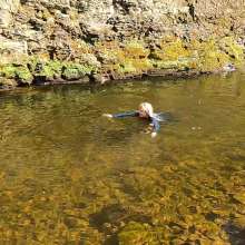 WetandMuddy: Video 84--Hot Spring