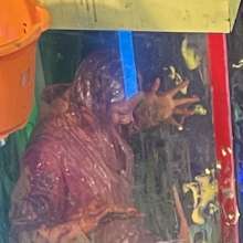 bsmessybakery: Surprise guest at messyworld.net
