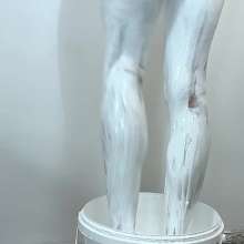 Your Wet Cat: 1 I Came Home from a Party and Got into the Paint