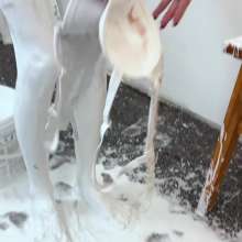 Your Wet Cat: 2 I Came Home from a Party and Got into the Paint