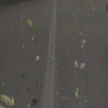 chocofan2: 5-gallon bucket of slime. Need help!
