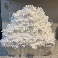 66Pies: Early Pi day