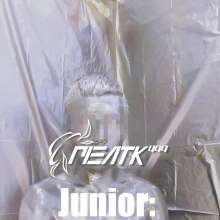 PieATK999: Junior: The Messy Artist 3