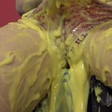 MissT: Lola Rae in Custard Corner