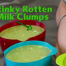 Slimed Models: 