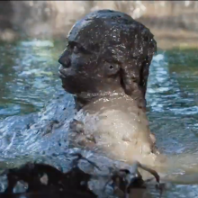 parsus153: French Model and Dancer Covers Himself in Mud Twice
