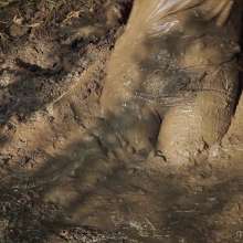 QS4Ever: Testing Clay Pit: Tiny